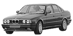 BMW E34 P1115 Fault Code